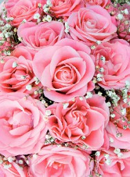 blomster
