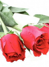 blomster