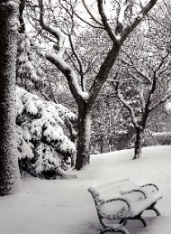 vinter