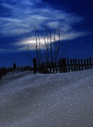 vinter