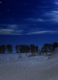 vinter - Bagside