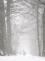 vinter
