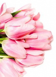 blomster