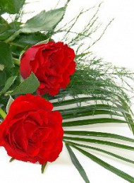 blomster