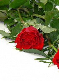 blomster - Bagside