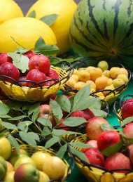 Frugt