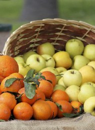 Frugt