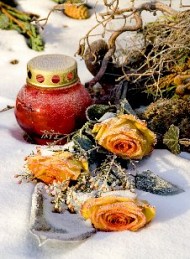 vinter