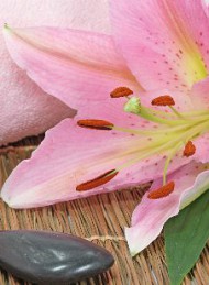 blomster