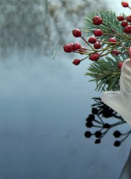 Jul - Bagside