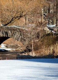 vinter
