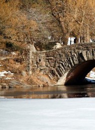 vinter - Bagside